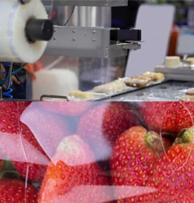 Double image of film packaging machine and strawberry packaging