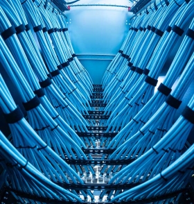 Low-angle view of two symmetrical rows of bright blue network cables, neatly bundled with black straps inside a server rack.