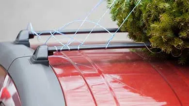 Red car with a Christmas tree tied to its roof rack with blue twine.