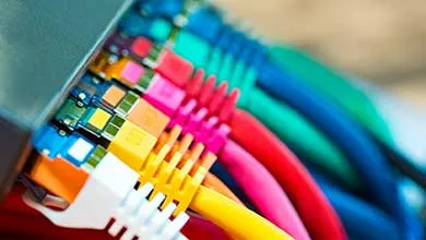 Close-up of brightly colored Ethernet cables connected to a network switch.