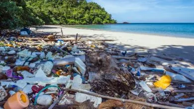 waste on beach